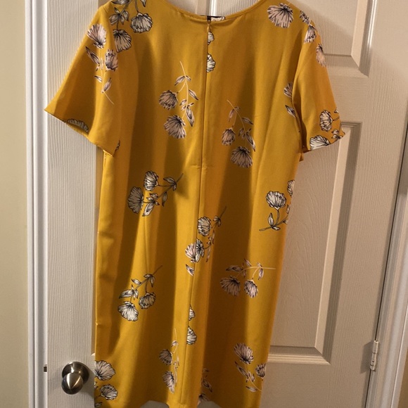 Women’s Dress size 16 by Ann Taylor - Picture 2 of 4